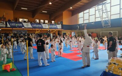 Esami di Graduazione Karate tra Pian Camuno e Esine coinvolti 1250 partecipanti